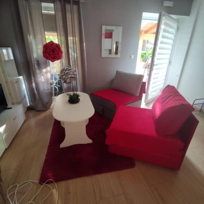 Апартаменты Apartman Den,Rovinj Oaza U Centru Grada I Besplatnim Parkingom Экстерьер фото